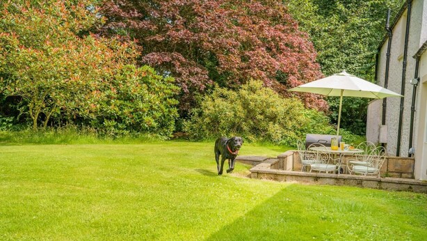 A dog walking in a grassy yard with a patio area and a table with chairs. - 2 Bed in Newtyle (oc-b45543) (Newtyle)