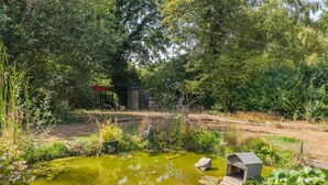 A pond with lily pads, surrounded by lush greenery and a wooden structure. - 1 Bed in Laddingford (oc-s45858) (Laddingford)