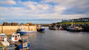 A harbor with boats docked, a concrete breakwater, and a building with a green roof in the background. - 4 Bed in Seahouses (oc-h45933) (Seahouses)