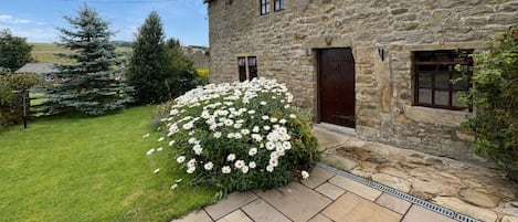 Un edificio de piedra con un césped cuidado y un gran arbusto de flores blancas.