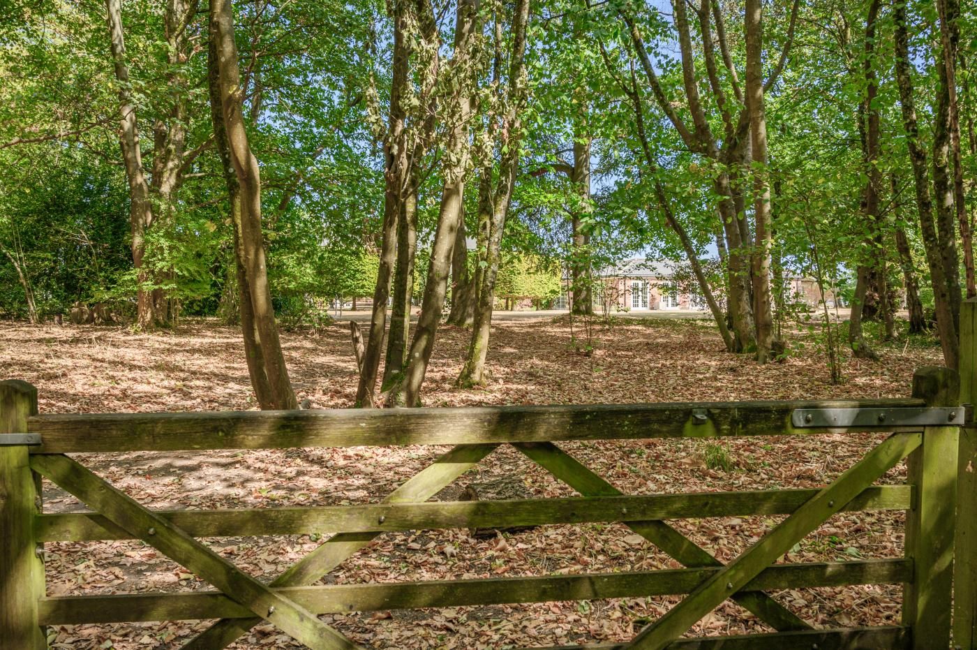 A wooden gate leading into a wooded area with trees and a building in the background.
