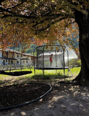 Un trampoline sous un arbre, avec une maison en arrière-plan.