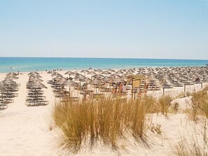A beach with rows of umbrellas and beach chairs, a sandy beach, and the ocean in the background. - Casa das Conchas T2 by YHA (Conceiçao de tavira)