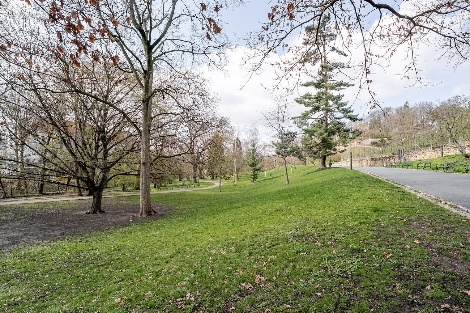 A park with a paved path, benches, and trees.
