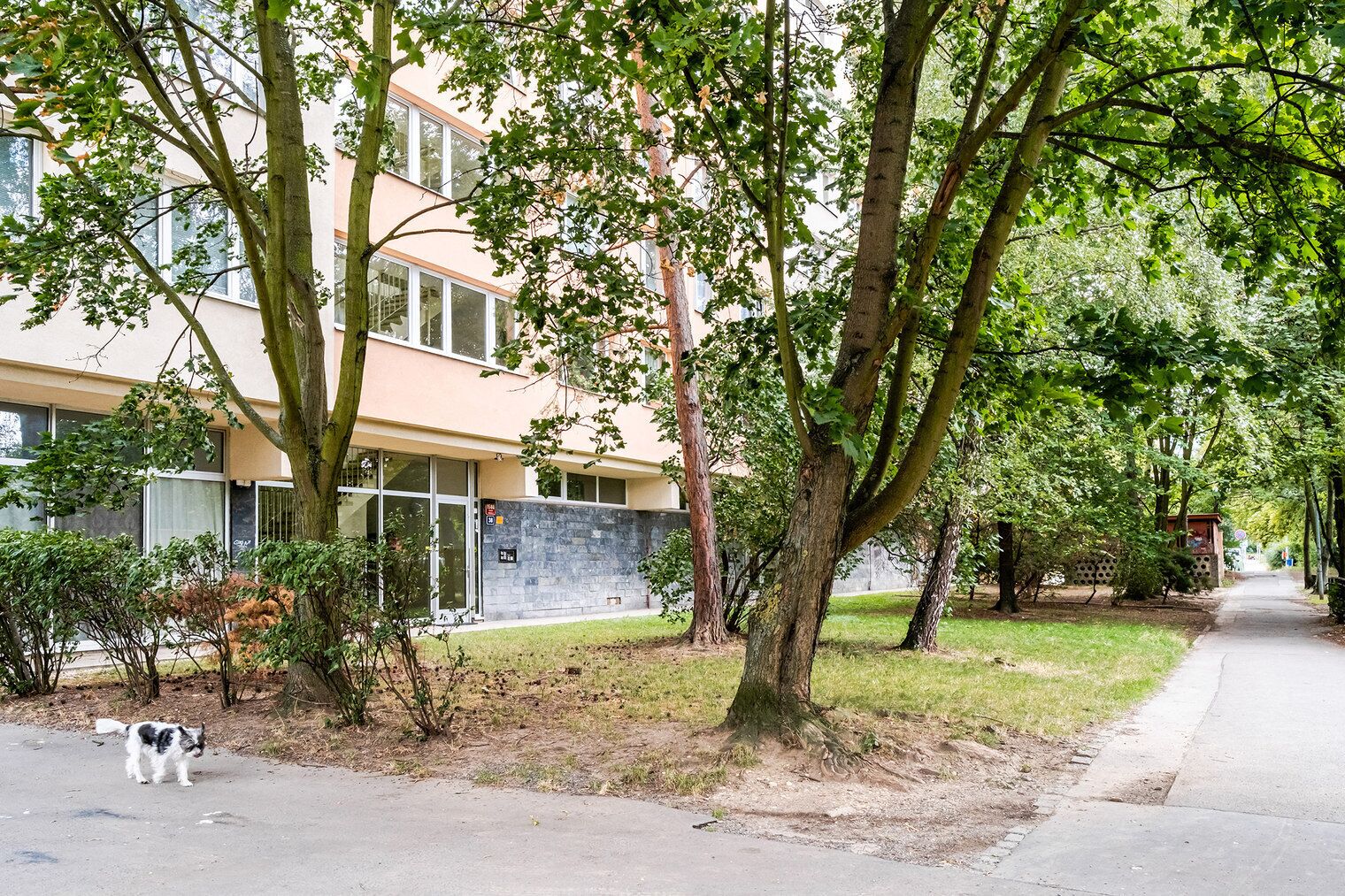 Ein Gebäude mit einer Steinfassade, einem gepflasterten Bürgersteig und einem Hund auf der Straße.