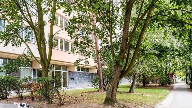 A building with a stone facade, a paved sidewalk, and a dog on the street. - Blueground | Pankrác, view, spacious, near offices (PRG-113) (Prague)