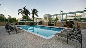 Piscina com espreguiçadeiras e guarda-sóis, cercada por palmeiras e um edifício ao fundo.