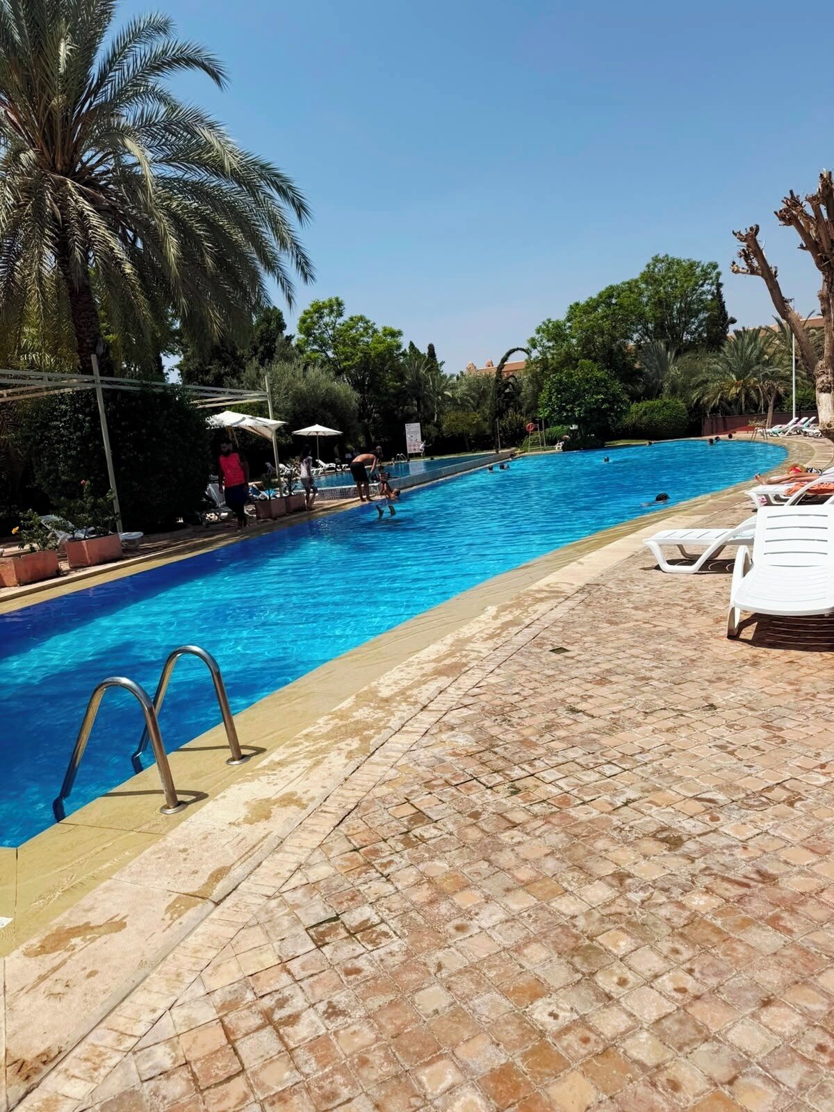 A swimming pool with a tiled deck, palm trees, and lounge chairs.