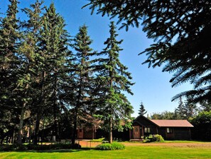 A lodge surrounded by tall evergreen trees, with a well-maintained lawn and a clear sky. - Very unique 3-bedroom house on wooded lot near town with great view and privacy. (Homer)