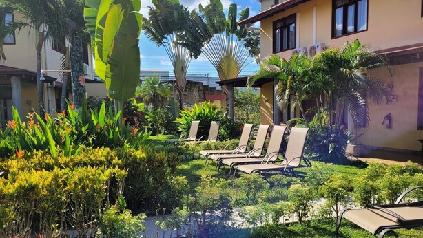 Uma área de piscina com espreguiçadeiras, plantas tropicais e um edifício com fachada amarela.