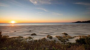 A beach with sand dunes and sparse vegetation. - Devon West (Newport)