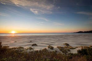 Ein Strand mit Dünen und spärlicher Vegetation.
