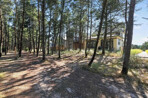 Ein bewaldetes Gebiet mit einem Feldweg, der zu einem Gebäude mit großen Fenstern und einem Balkon führt.