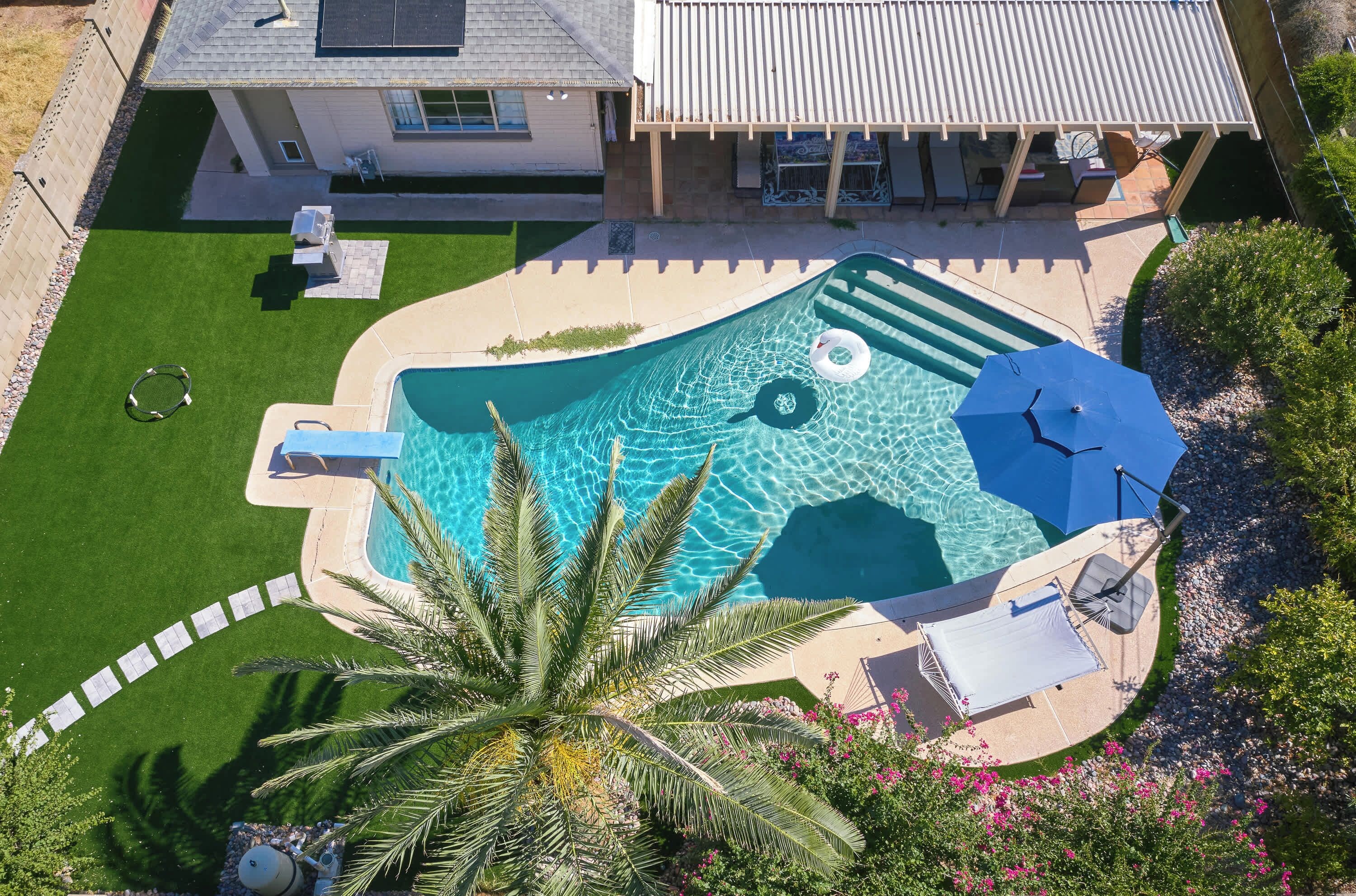 A swimming pool with a unique design, surrounded by a well-maintained lawn, a palm tree, and a patio area with outdoor furniture.