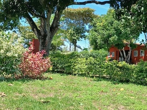 A garden with a large tree, a red building, and various shrubs.