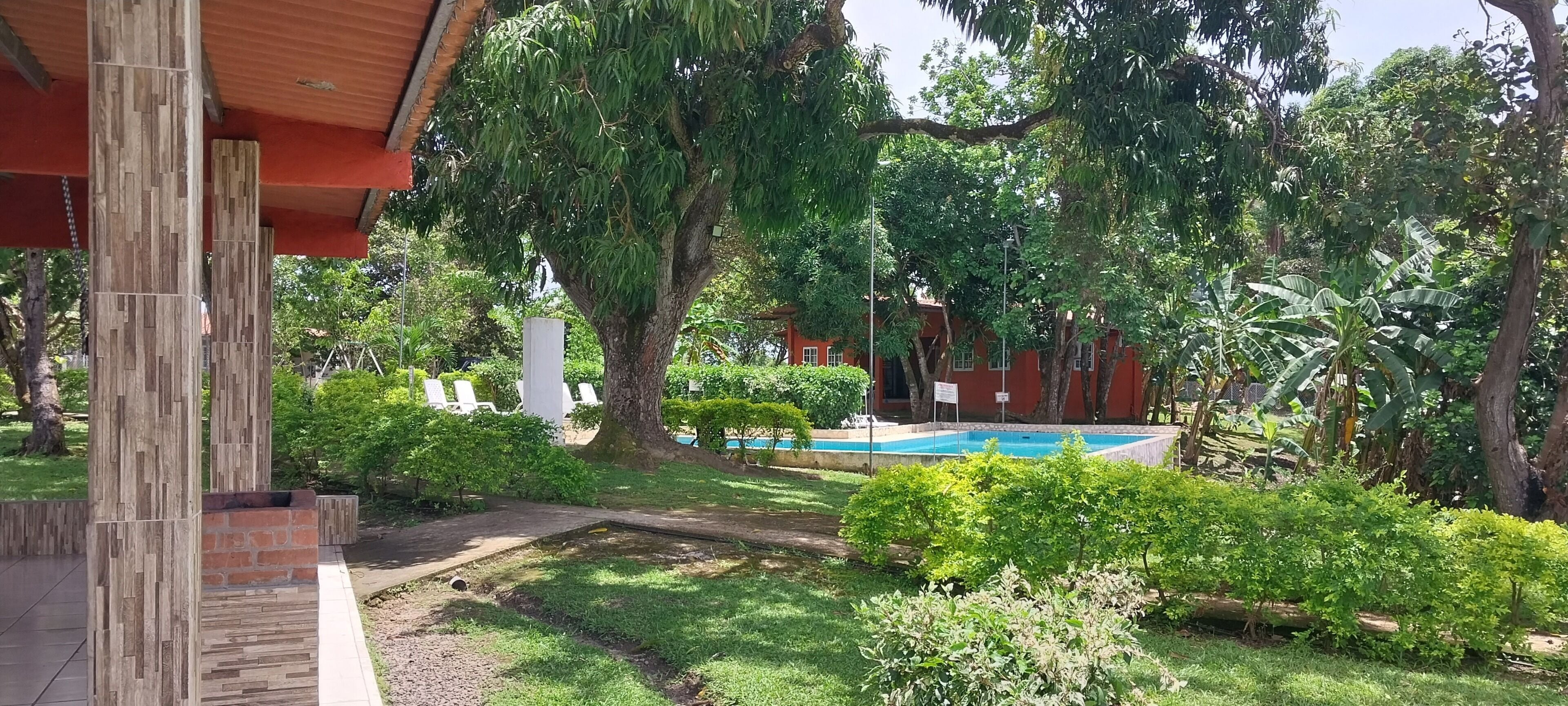 Un espace piscine agrémenté d’une structure en briques, entouré d’une végétation luxuriante et d’arbres.