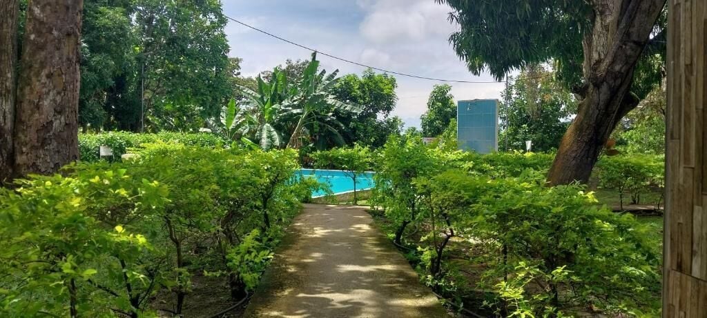 Economy Studio Suite, Pool View | Property grounds