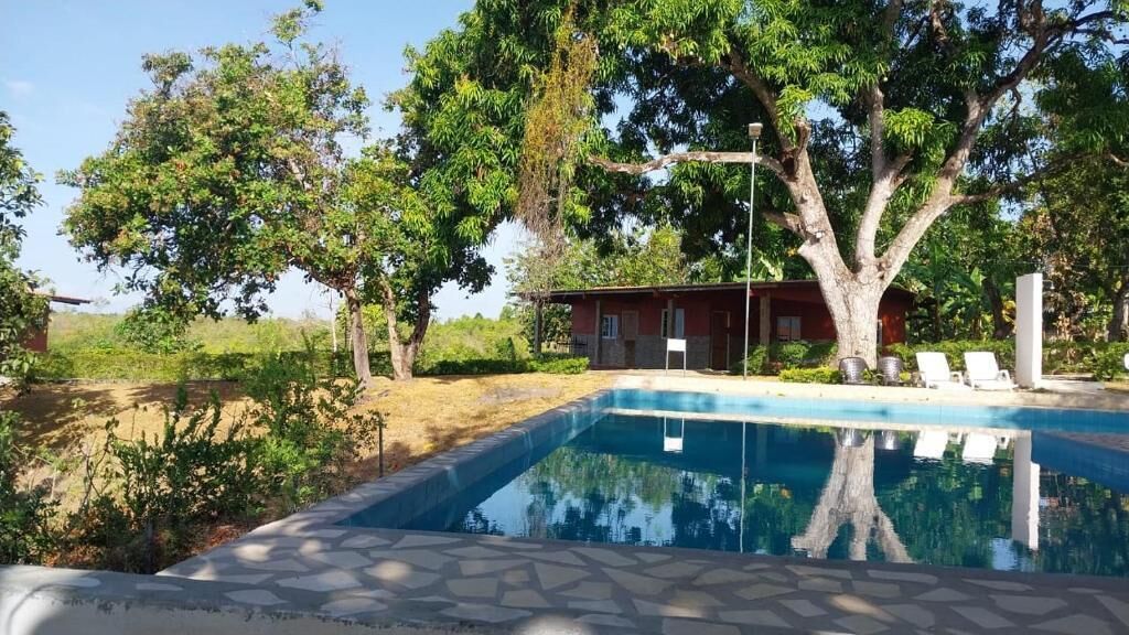 Piscina con borde de azulejos, rodeada de césped y árboles.