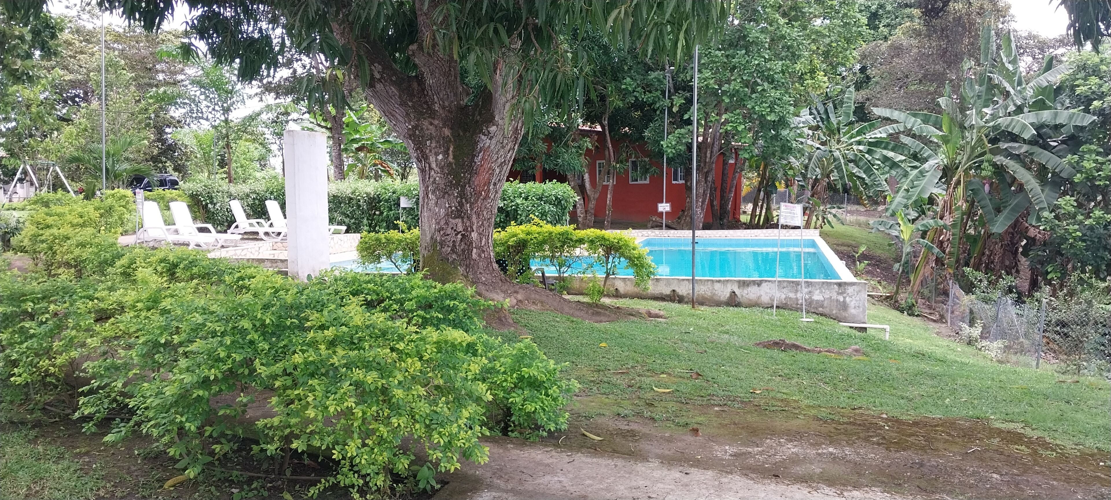 Zona de piscina con un edificio rojo al fondo, rodeada de exuberante vegetación y una estructura blanca.
