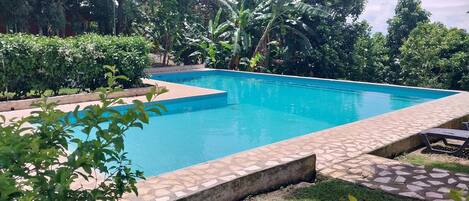 A rectangular swimming pool with a tiled edge, surrounded by a garden with various plants and trees.