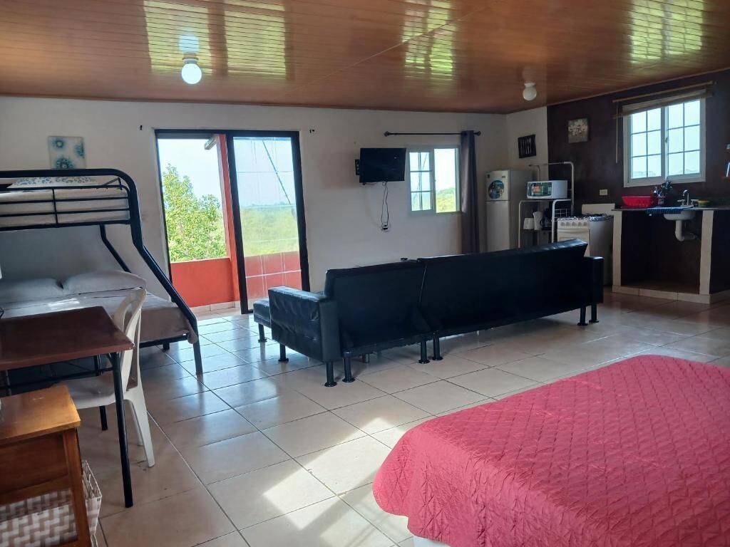 A room with a bed, a sofa, a desk, a television, and a window.