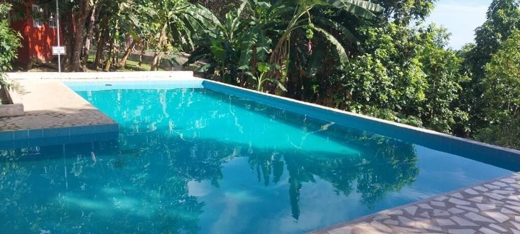A swimming pool with clear blue water, surrounded by lush greenery and a stone deck.