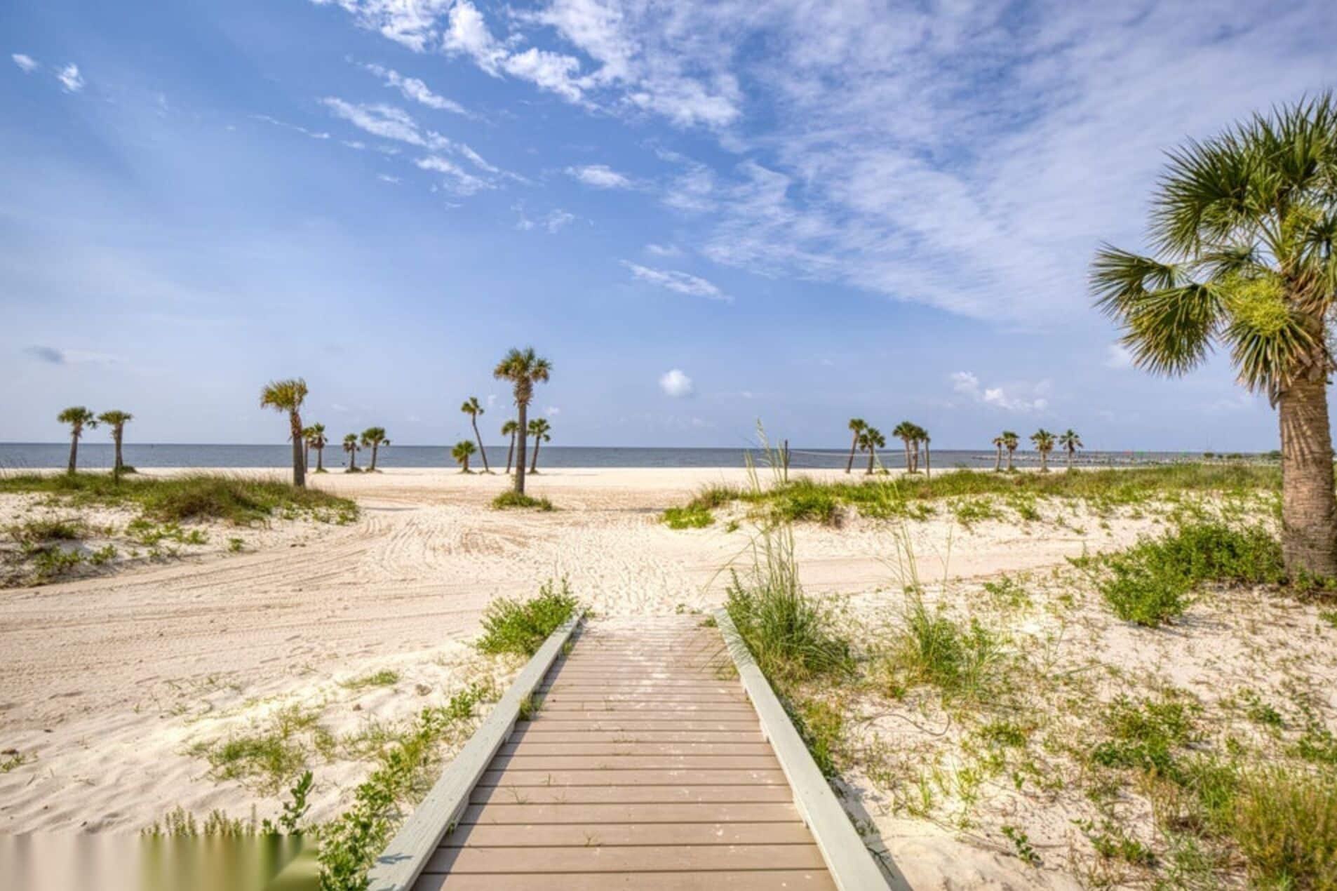 Un pont de fusta que condueix a una platja sorrenca amb palmeres i un cel serè.