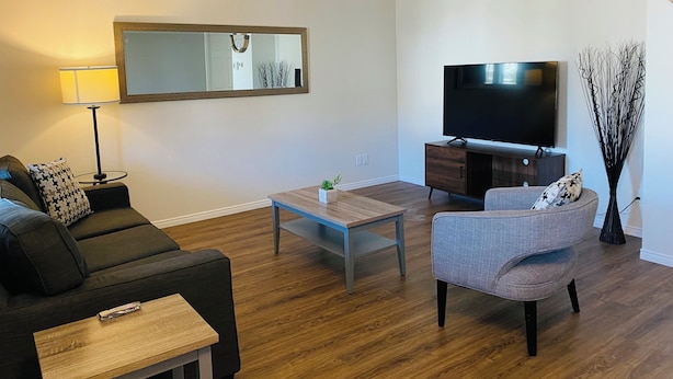A modern living room with a sofa, armchair, coffee table, TV, and decorative plants.