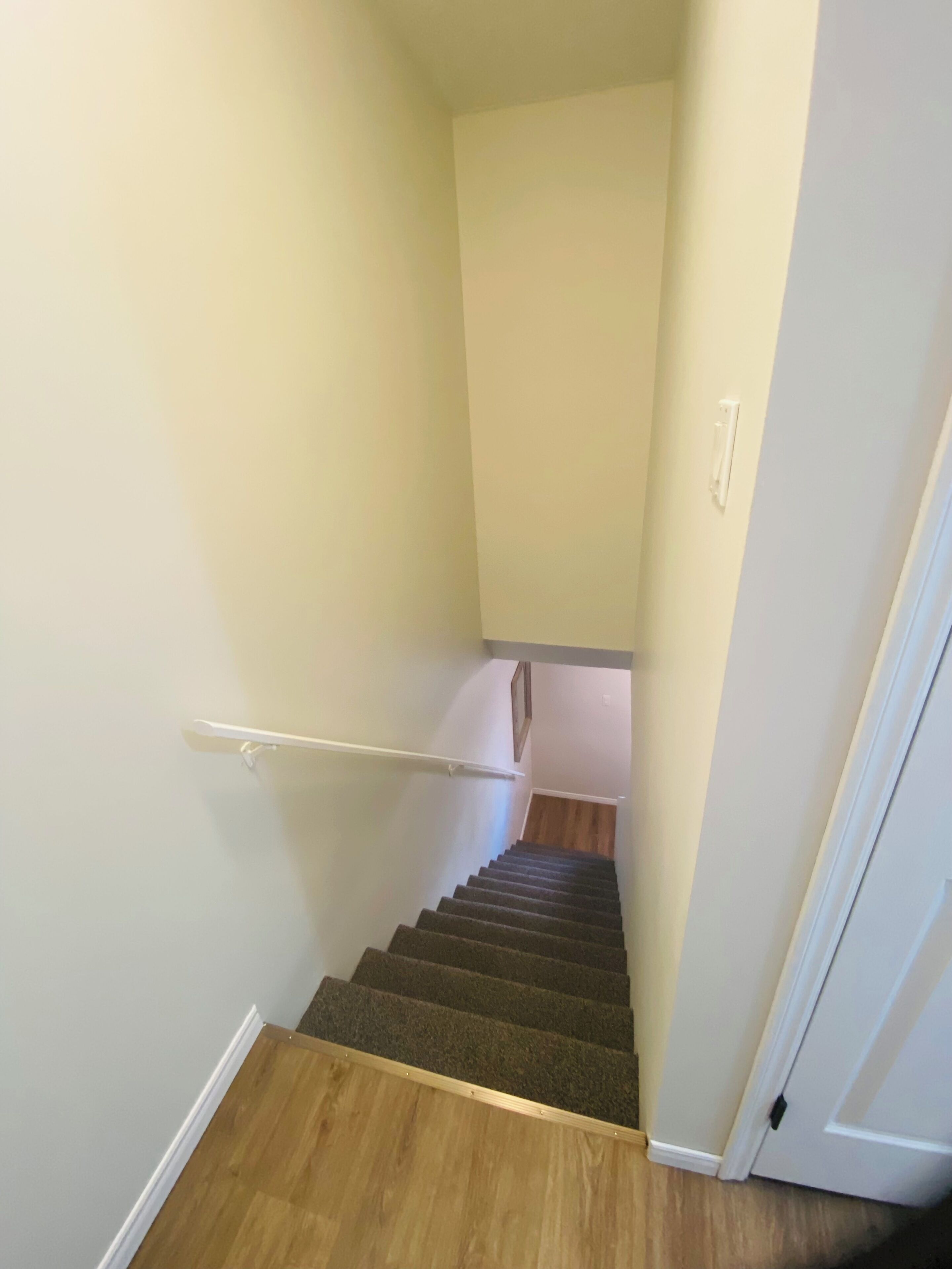 Eine Teppichstufen Treppe mit Geländer, Holzboden und einer weißen Tür am Ende.