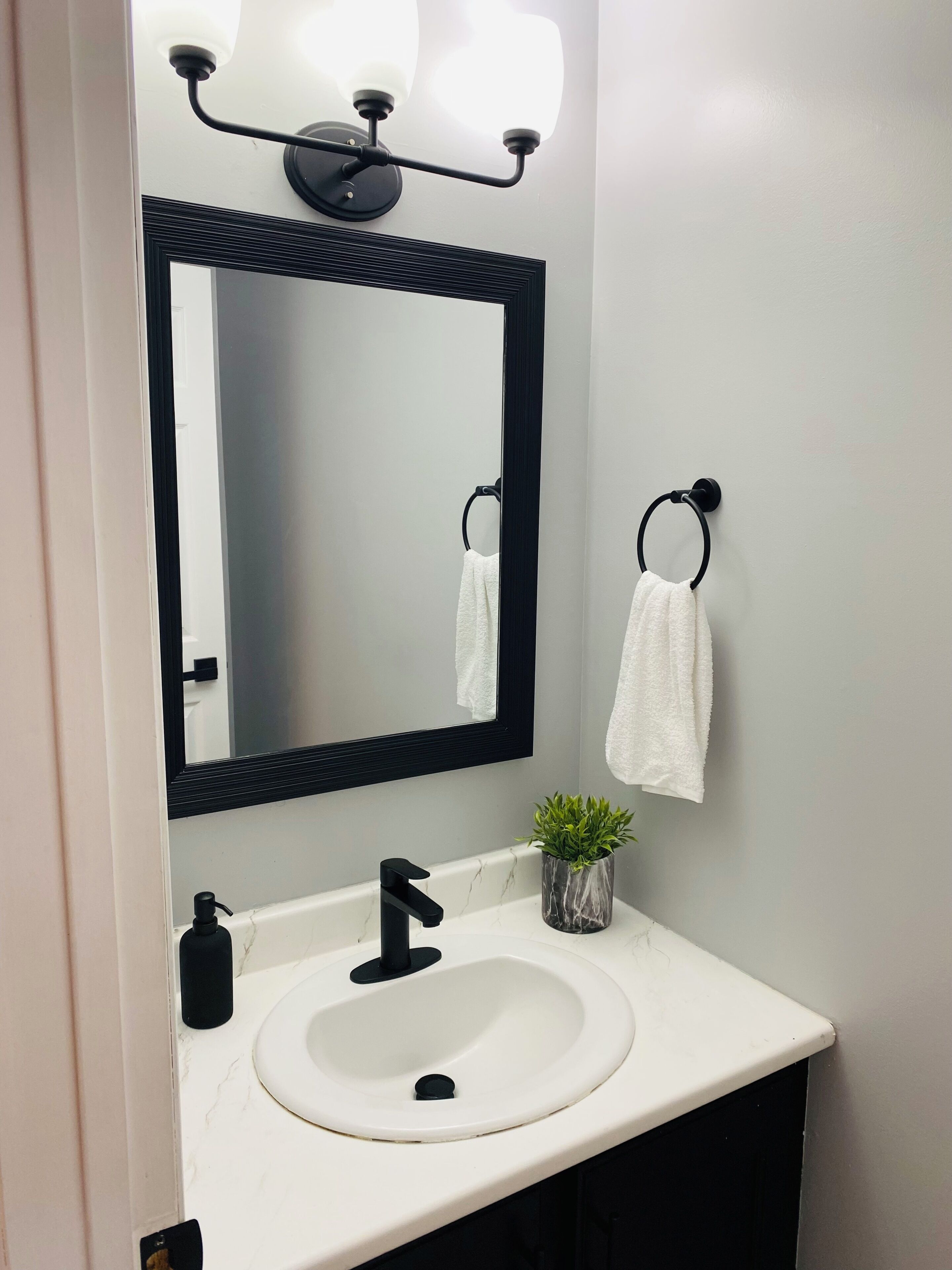 A bathroom with a white sink, a black faucet, a mirror with a black frame, a towel ring, and a small potted plant.