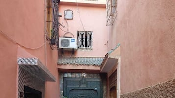 A narrow alleyway with a central door, flanked by two large potted plants.