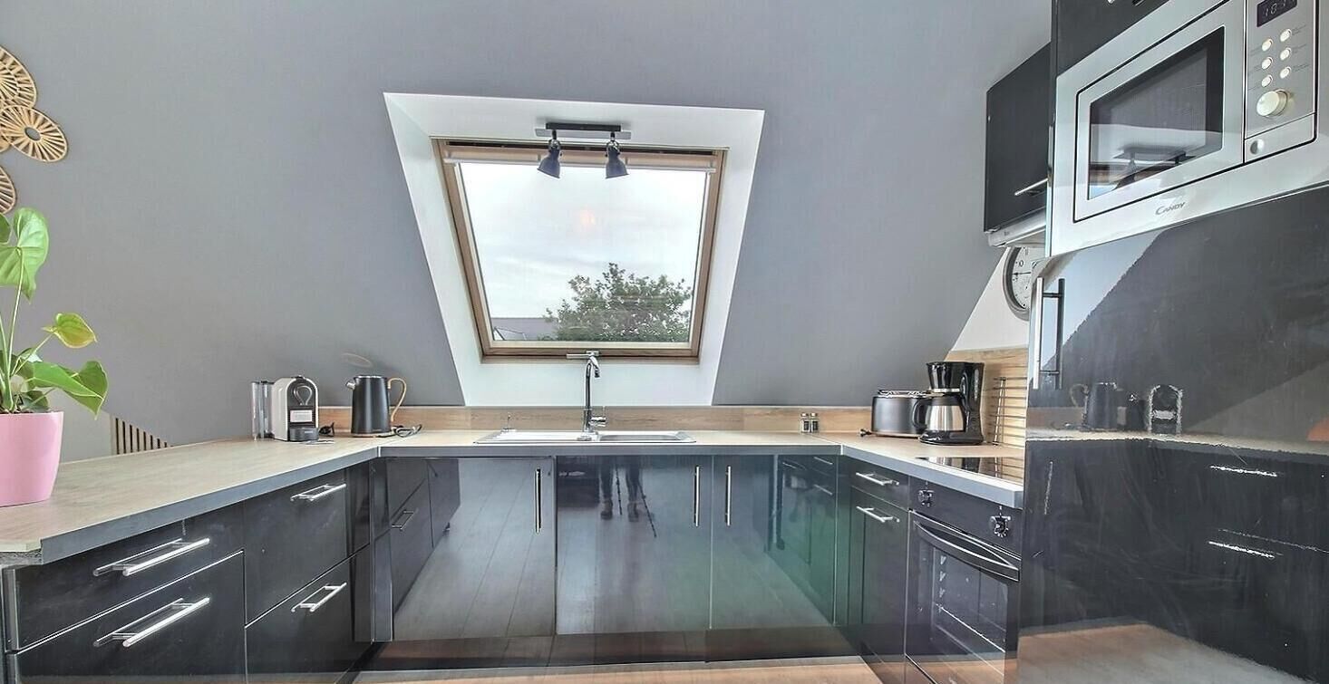 A modern kitchen with a skylight, built-in appliances, and a potted plant.