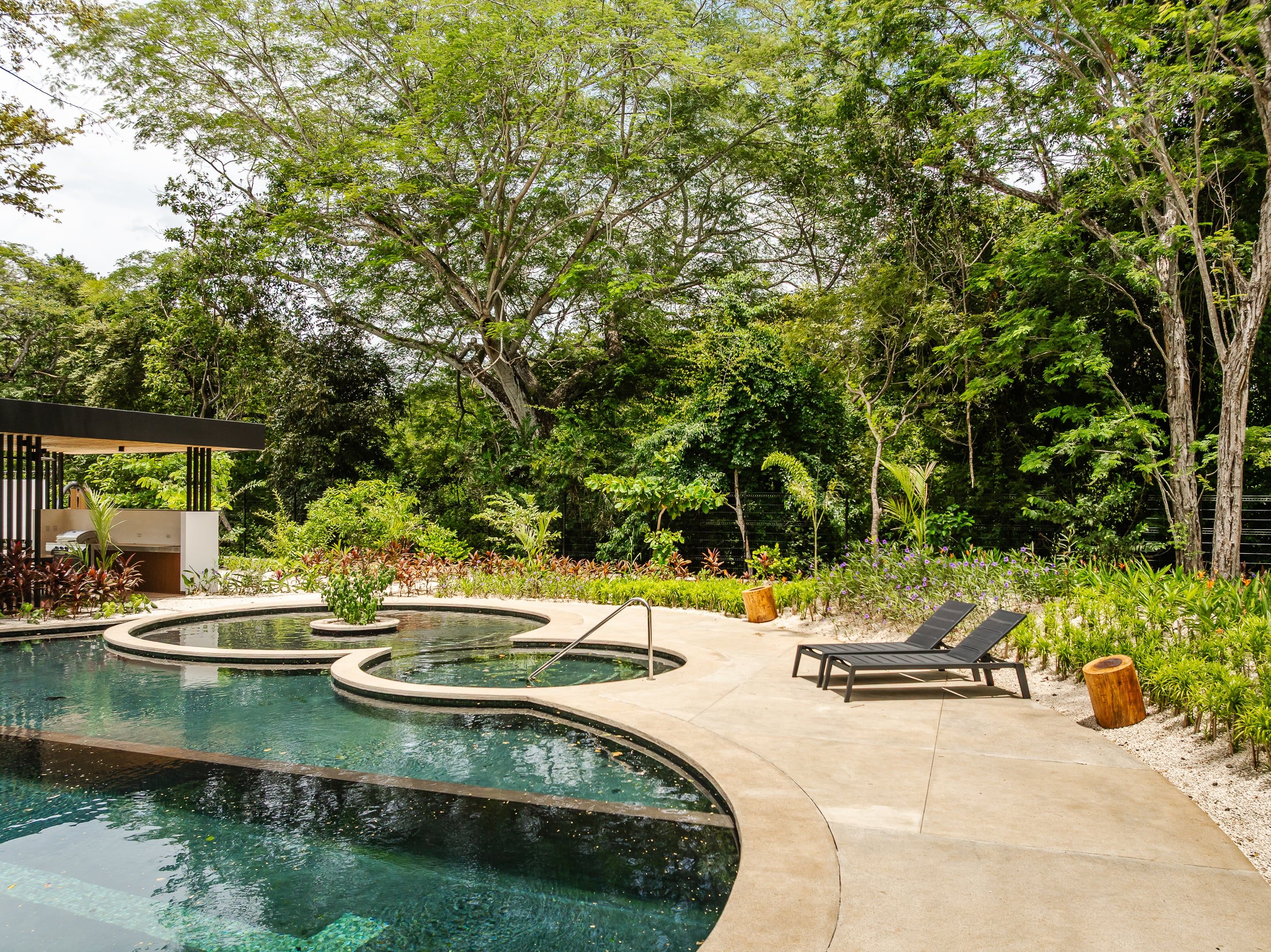 A pool area with a curved design, surrounded by lush greenery and trees.