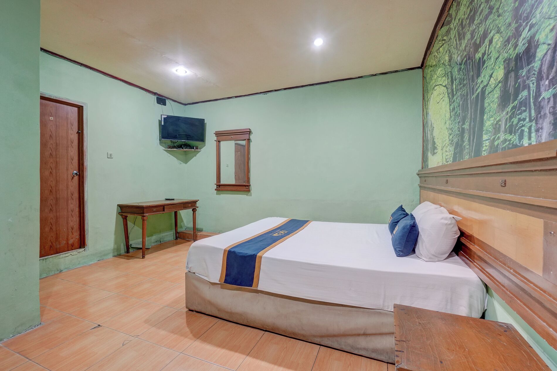 A room with a bed, a desk, a television, and a door.