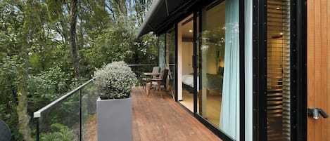 A modern house with a wooden deck, a large sliding glass door, and a potted plant.