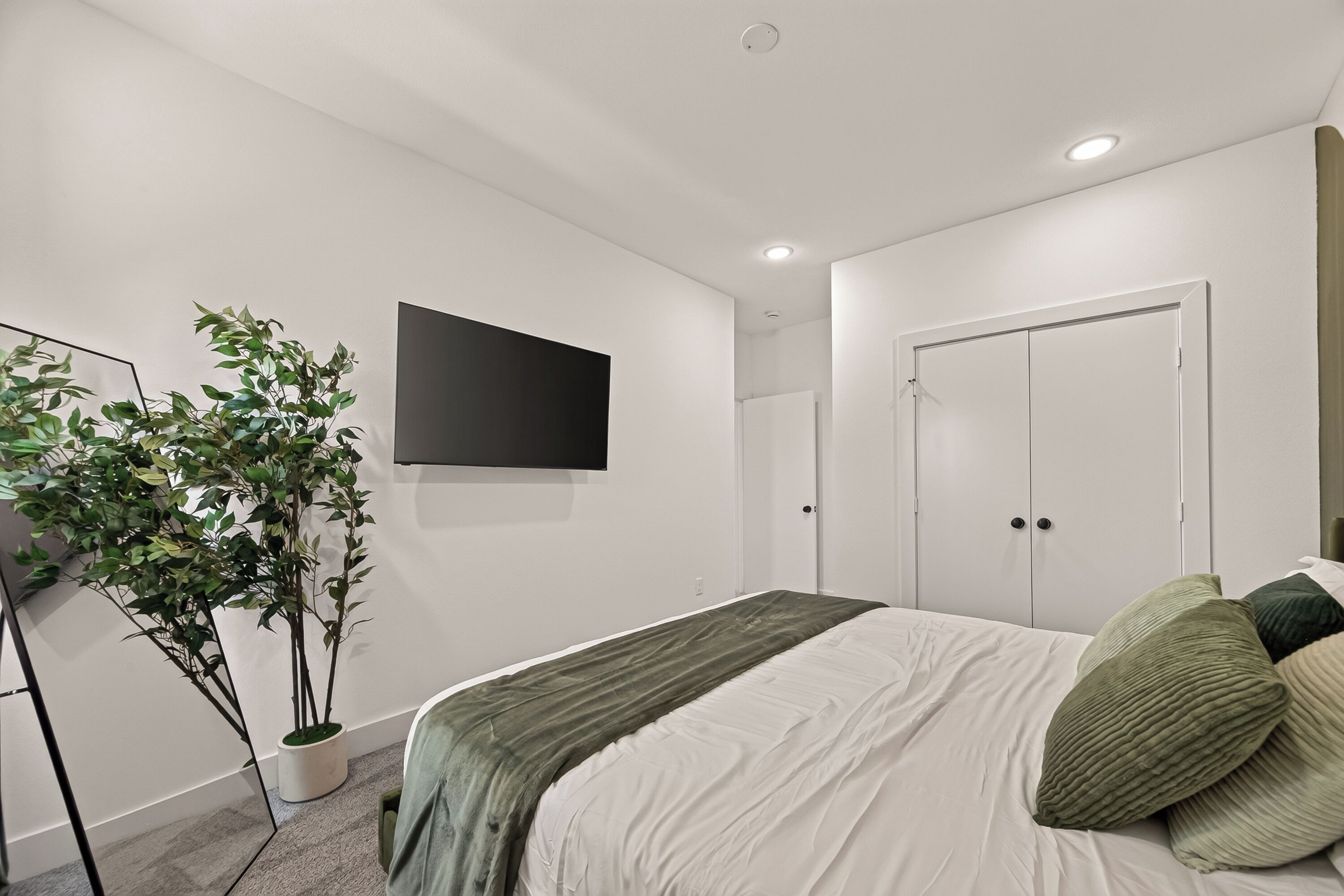 A bedroom with a bed, a television mounted on the wall, a door, and a potted plant.