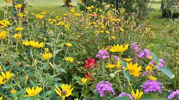 Un jardín con diversas flores, árboles y un muro de piedra.