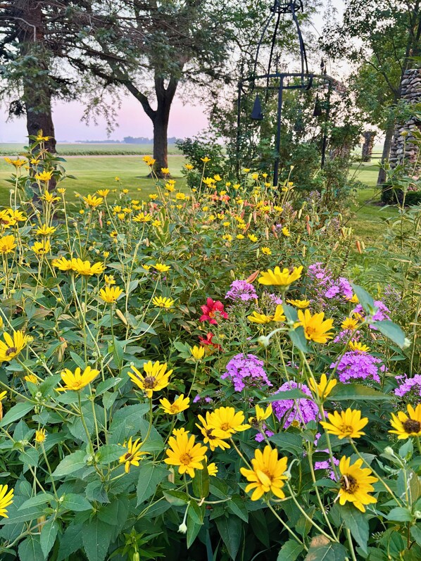 A garden with a variety of flowers, trees, and a stone wall.