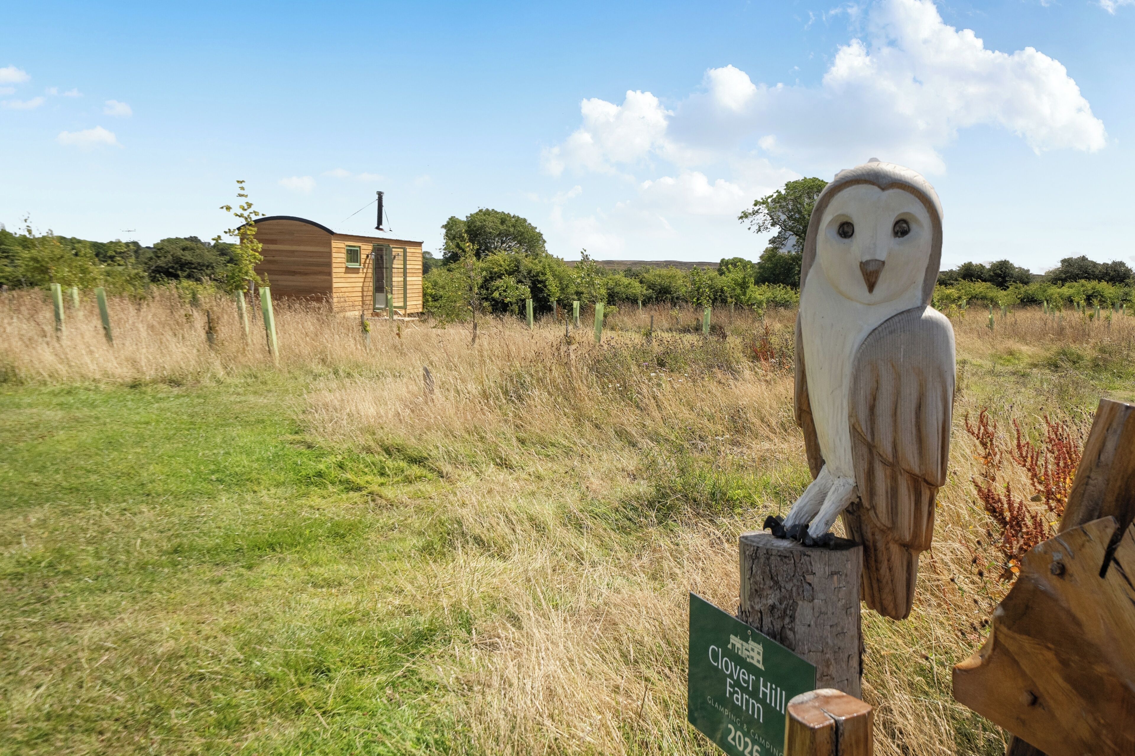 A wooden owl sculpture on a post with a sign indicating a glamping site.