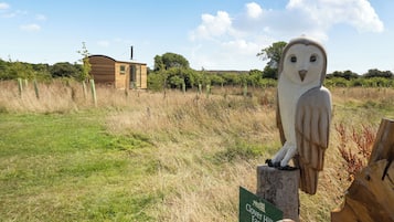 A wooden owl sculpture on a post with a sign indicating a glamping site.