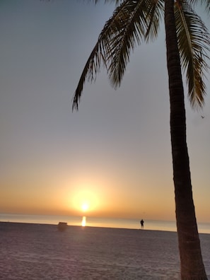 A beach scene with a palm tree, a person, and a sunset over the water. - Your cozy home near the beach in Hallandale Beach. Close to everything. (Hallandale Beach)