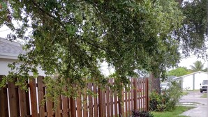 A wooden fence, a grassy area with stepping stones, and a house in the background. - Your cozy home near the beach in Hallandale Beach. Close to everything. (Hallandale Beach)