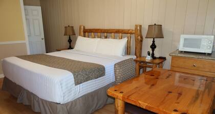 Room #3 – 1 King Bed, Pet-Friendly
