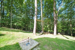 A forested area with a swing set and a sandbox. - The Barking Beech: Pet Friendly, Hot Tub, Firepit, Fenced Yard, 4 TVs! (Banner Elk)
