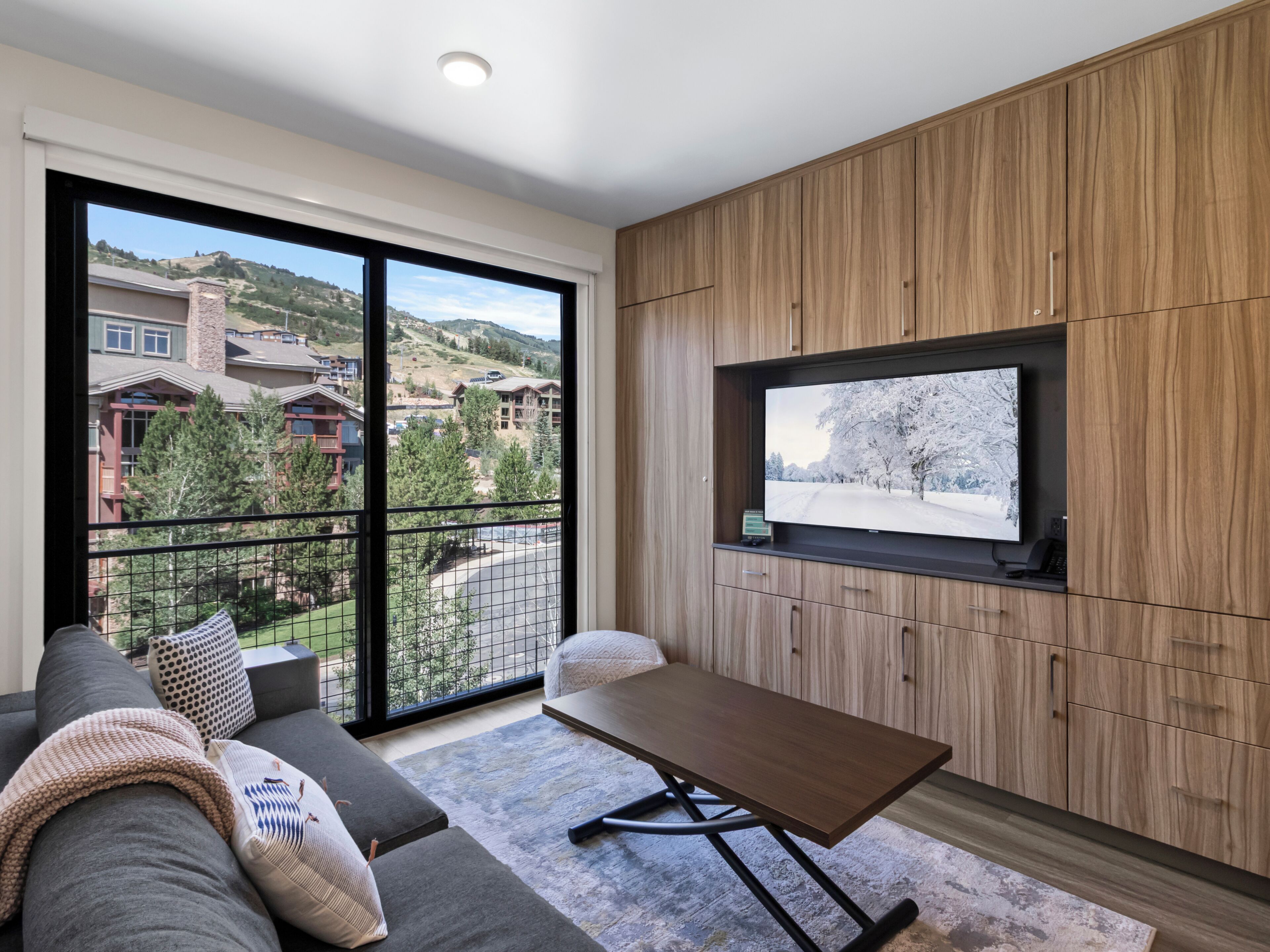 Smart TV, video games, offices