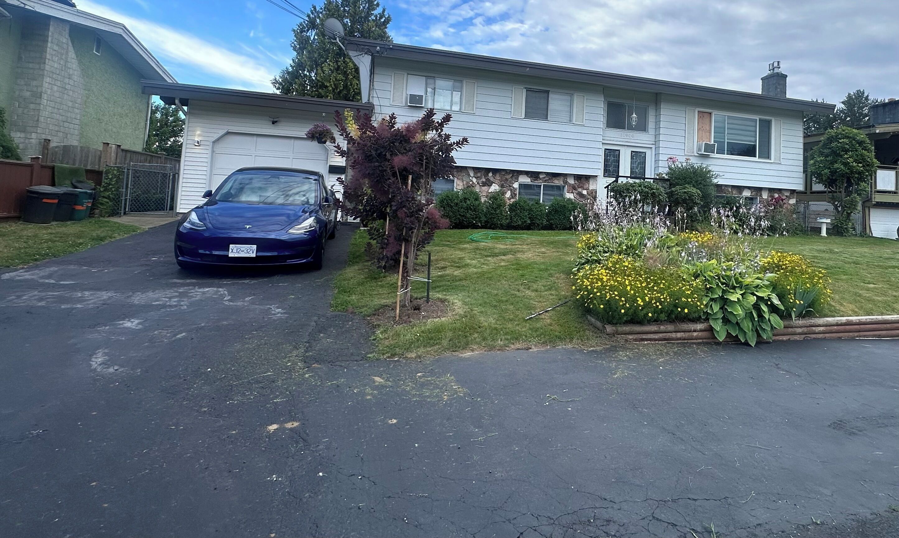 A residential driveway with a parked car, a lawn with various plants, and a house with a garage.