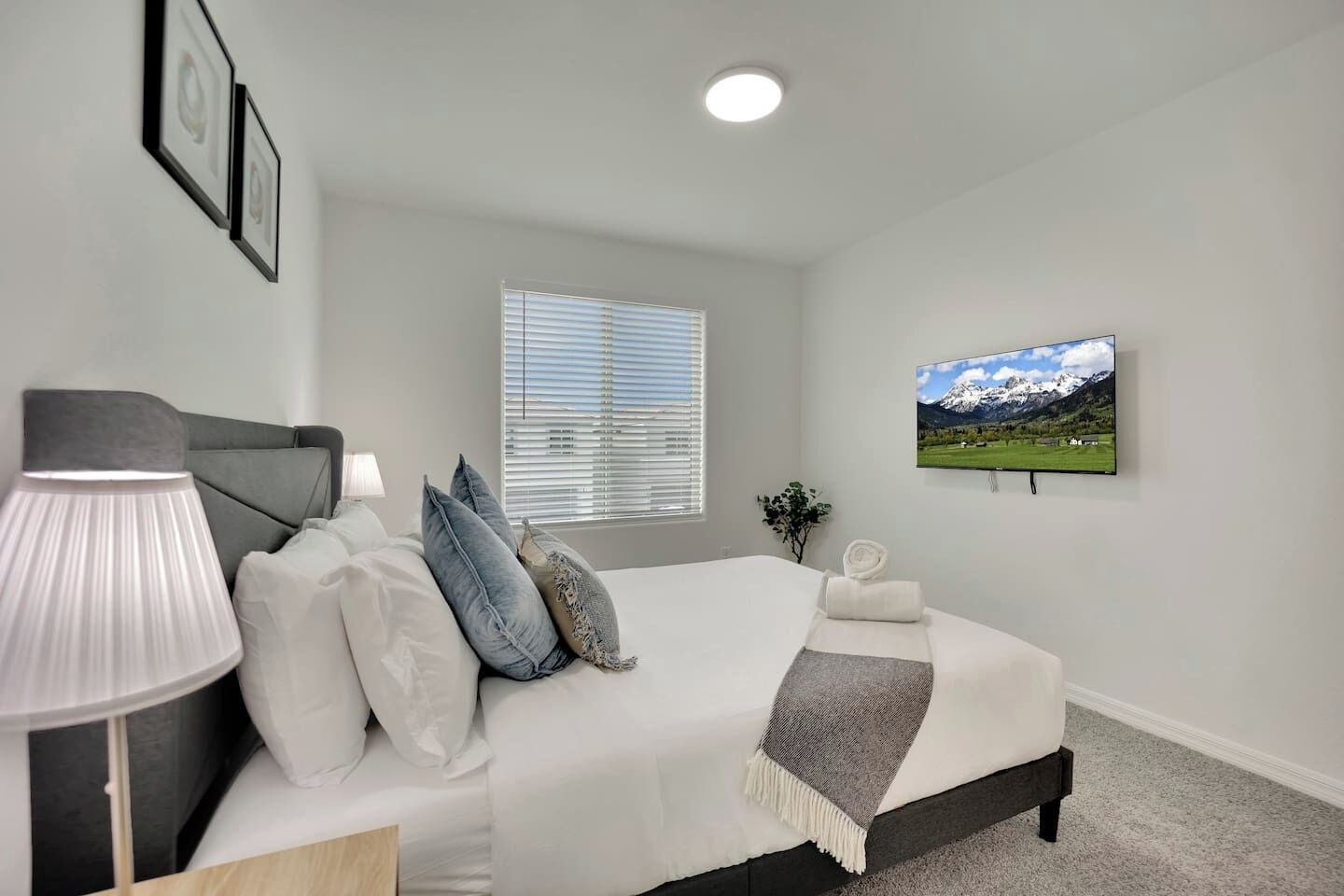 Un dormitorio con cama, lámpara de noche, ventana con persianas, televisor en la pared y una planta.