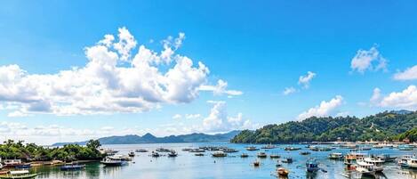 A harbor with numerous boats and a clear sky.