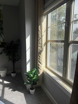 A corner of a room with a window, a potted plant, and a wall. - Fox - Private Bedroom near Downtown and 17th Av (Calgary)