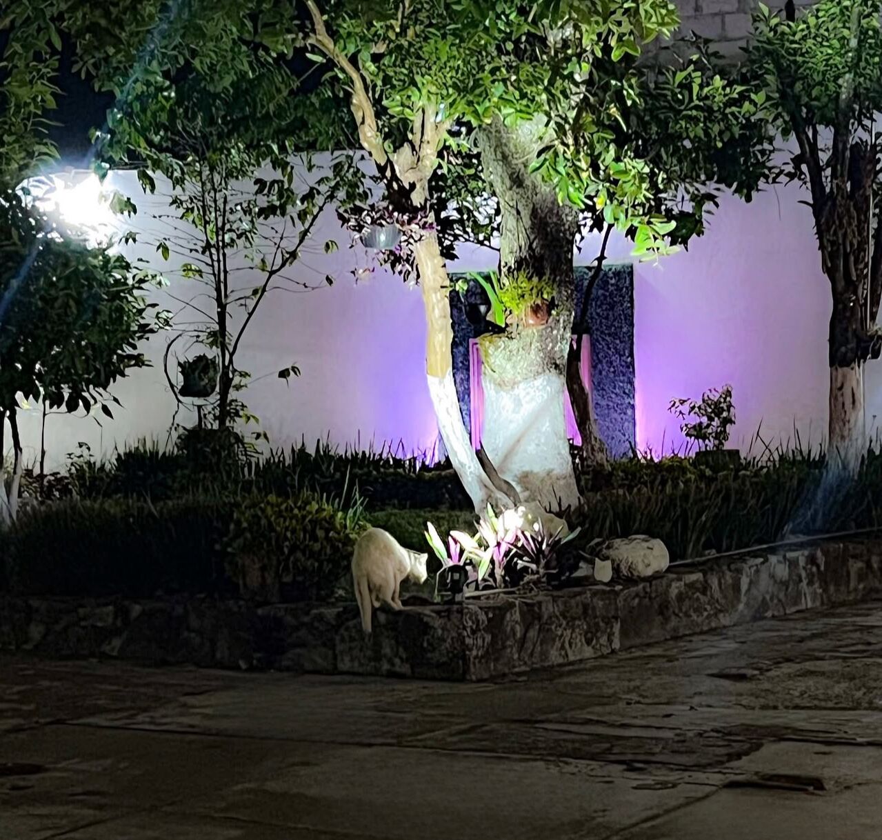 Un espacio al aire libre de noche con una estatua, un banco de piedra y un perro pequeño.